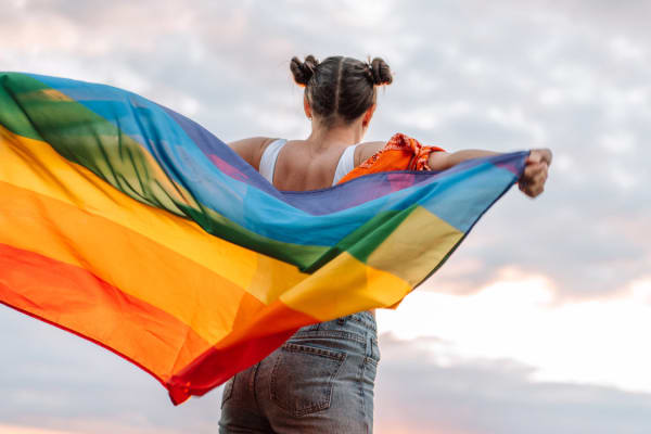 PRIDE IN PLEASURE: A GUIDE TO QUEER SEX & RELATIONSHIPS
