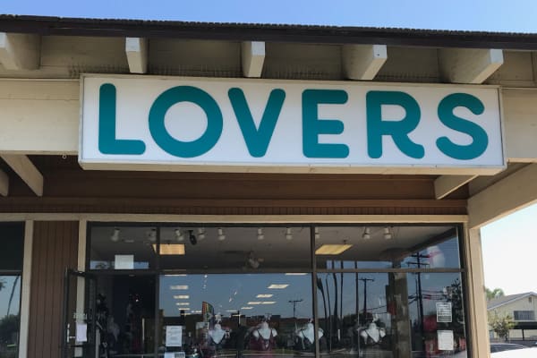 THE BEST SEX TOYS IN LOS ANGELES