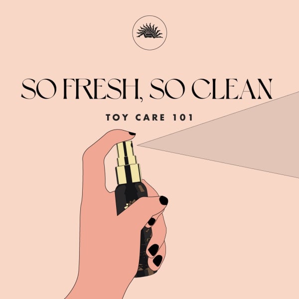 So Fresh, So Clean: Toy Care 101