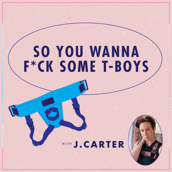 So You Wanna F*ck Some T-Boys