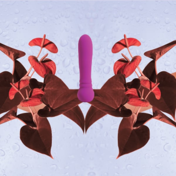 Top 5 Toys for Shower Sex