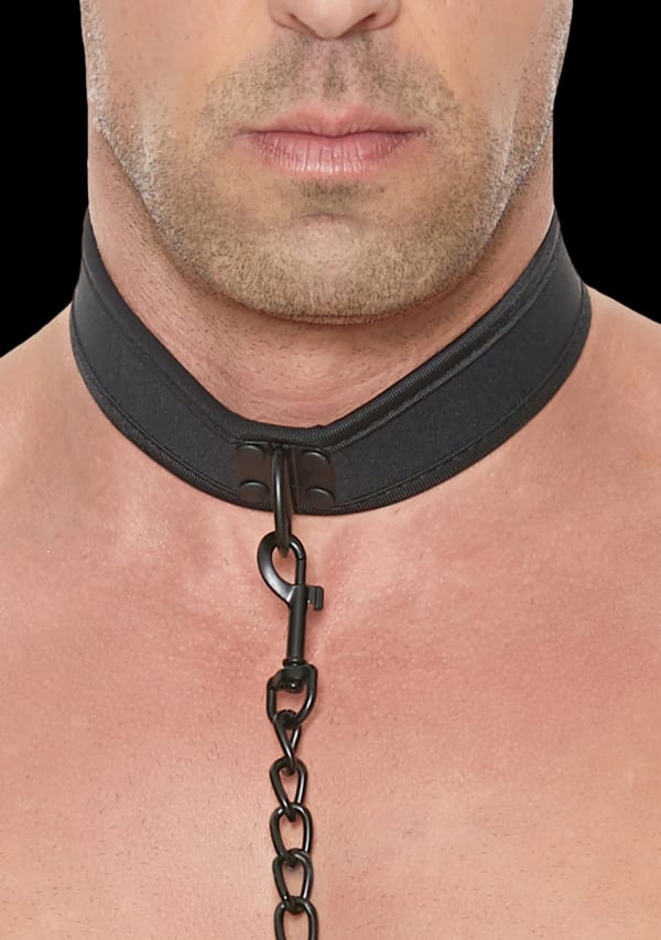 Show image 8