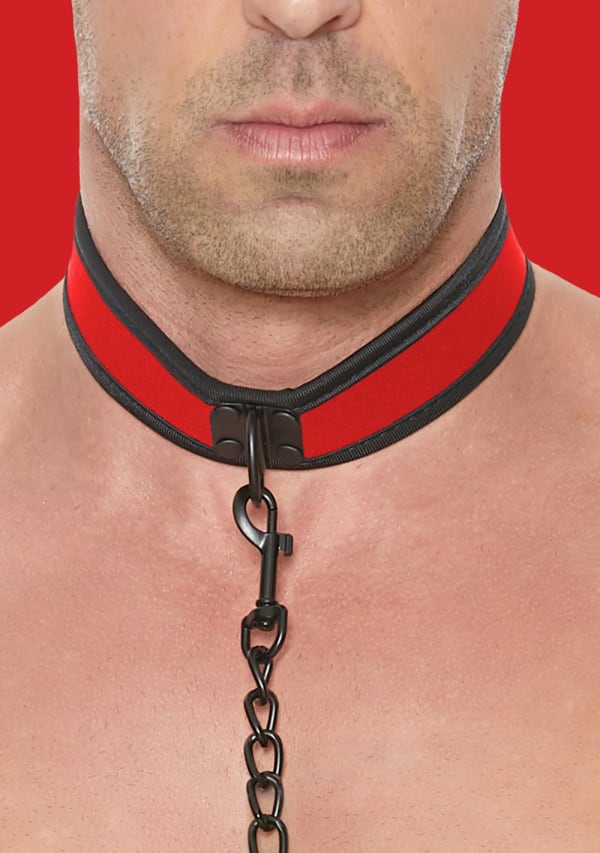 Show image 2