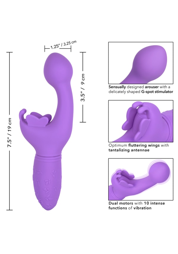 Show image 7