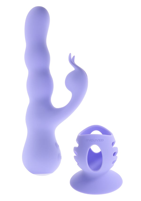Show image 6