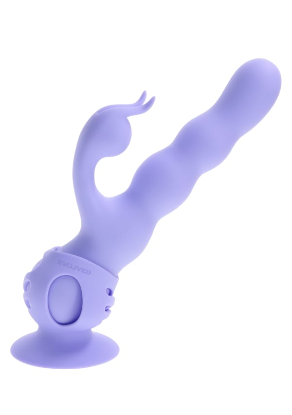 Show image 7