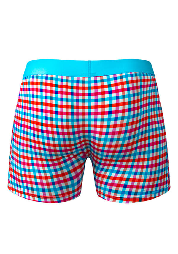 So Comfy Gingham Boxer Brief Image 2