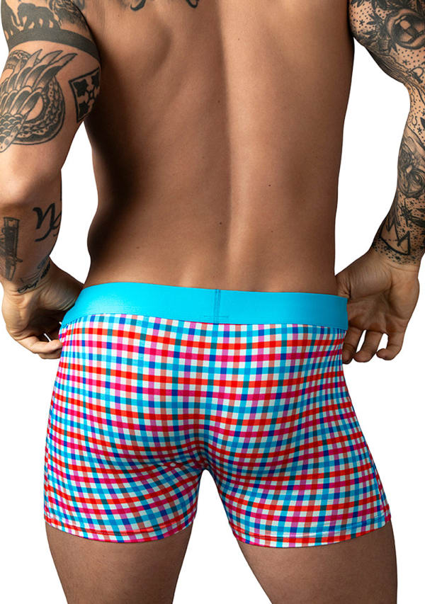 So Comfy Gingham Boxer Brief Image 4
