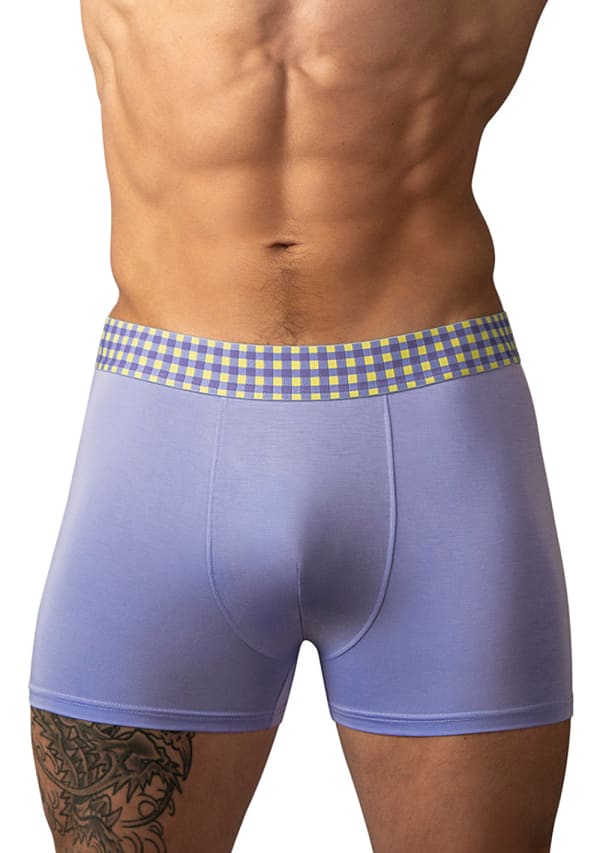So Comfy Purple Gingham Boxer Brief Image 3