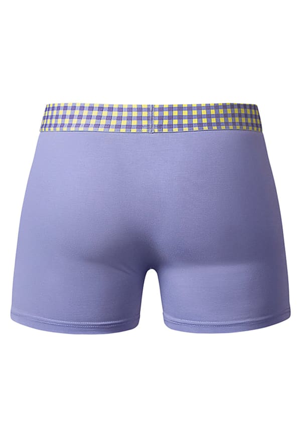So Comfy Purple Gingham Boxer Brief Image 2