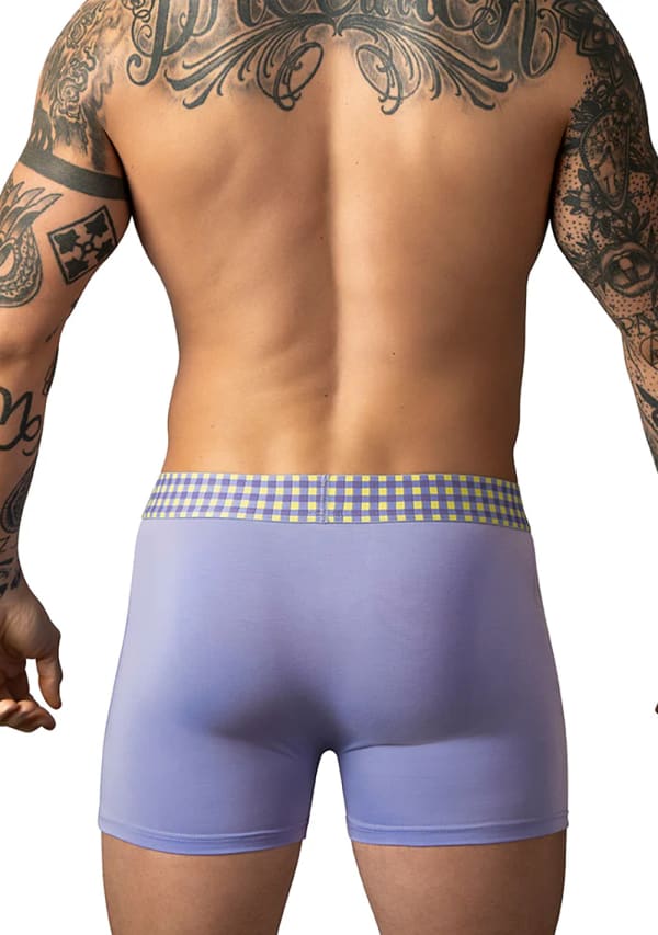 So Comfy Purple Gingham Boxer Brief Image 4
