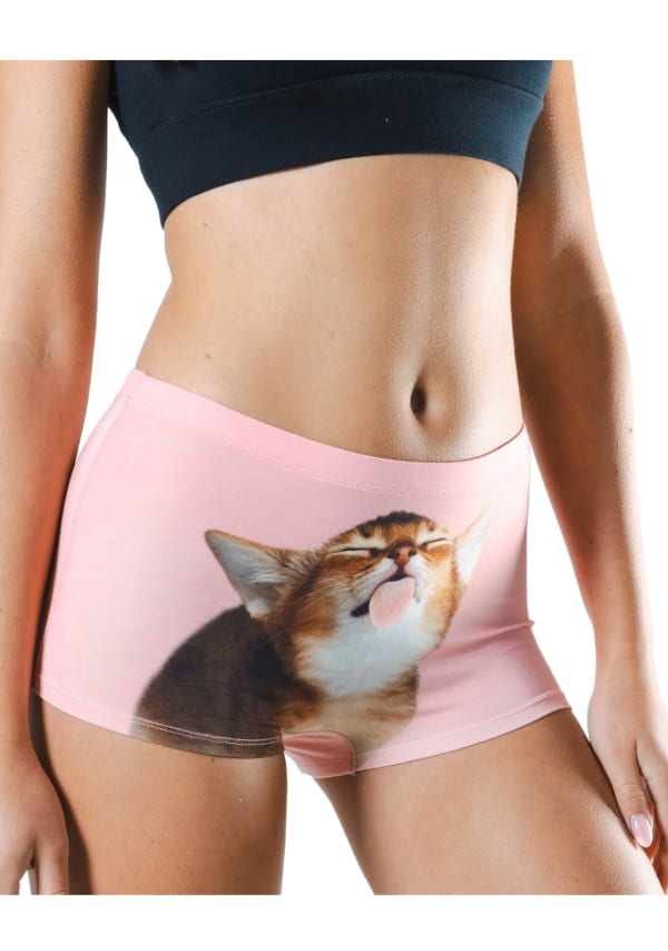 The Right Meow MicroModal Boyshort Underwear Image 3