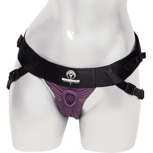 harness harness