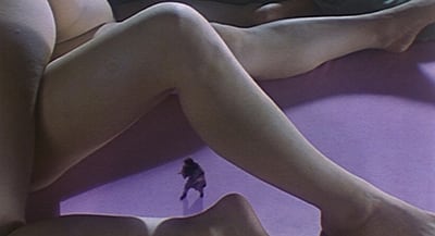 Sex Ed Events at Good Vibrations