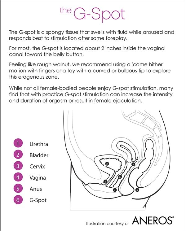 Good Vibrations G-Spot Illustration