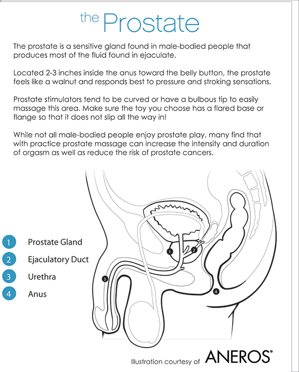 Good Vibrations Prostate Illustration