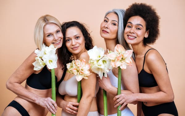 Menopause Pleasure Hub