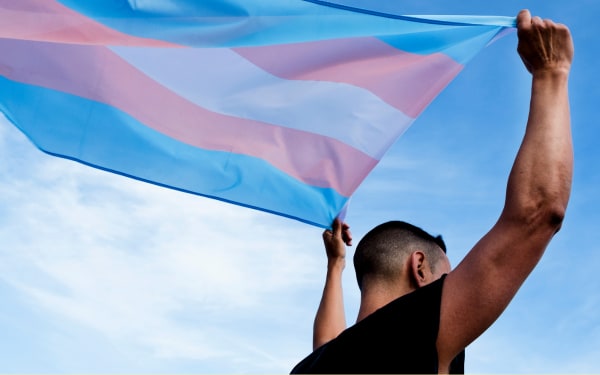 Trans + GNC Pleasure