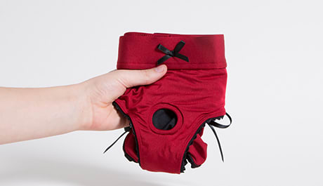 Strap-On Harnesses and Packing Underwear
