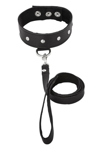 Leather Leash and Collar Set