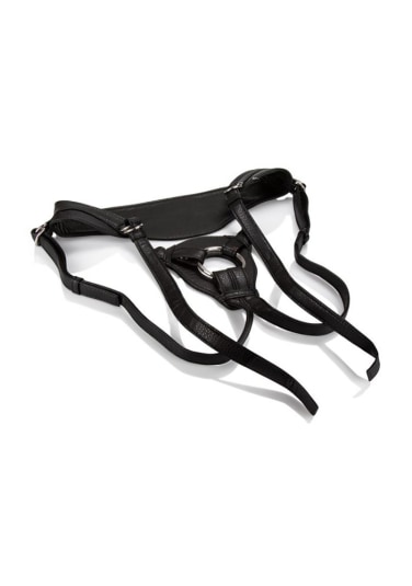 Her Royal Harness - The Queen