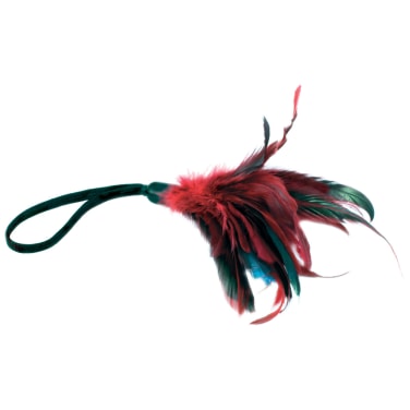 Pleasure Feather