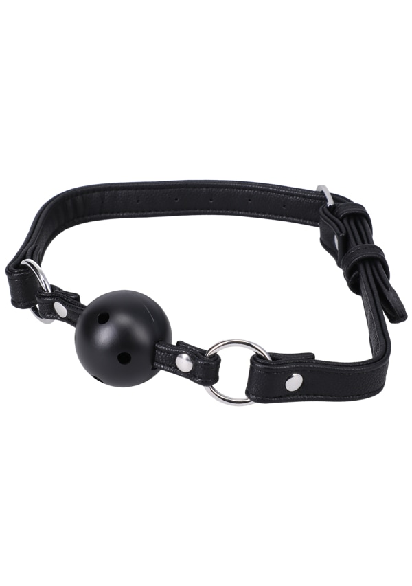 Ball Gag In A Bag