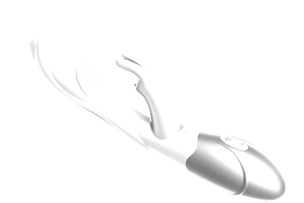 Diagram of the Rabbit