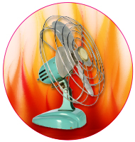 picture of a fan