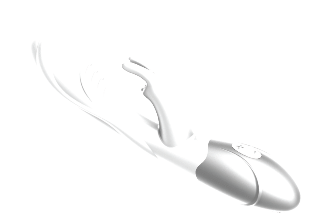 Diagram of the Rabbit