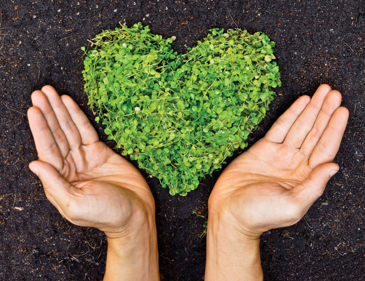 Image of hands holding a green heart