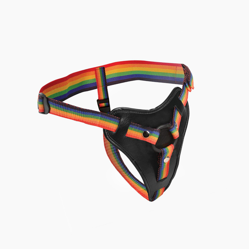 Take the Rainbow Universal Harness