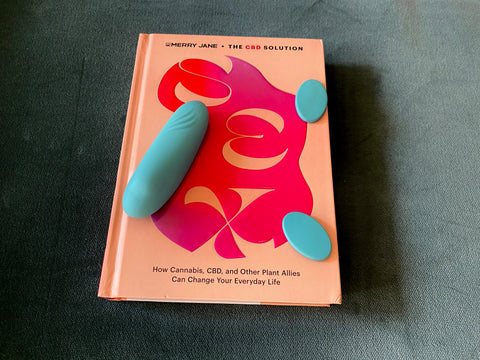 Sex Toy Storage