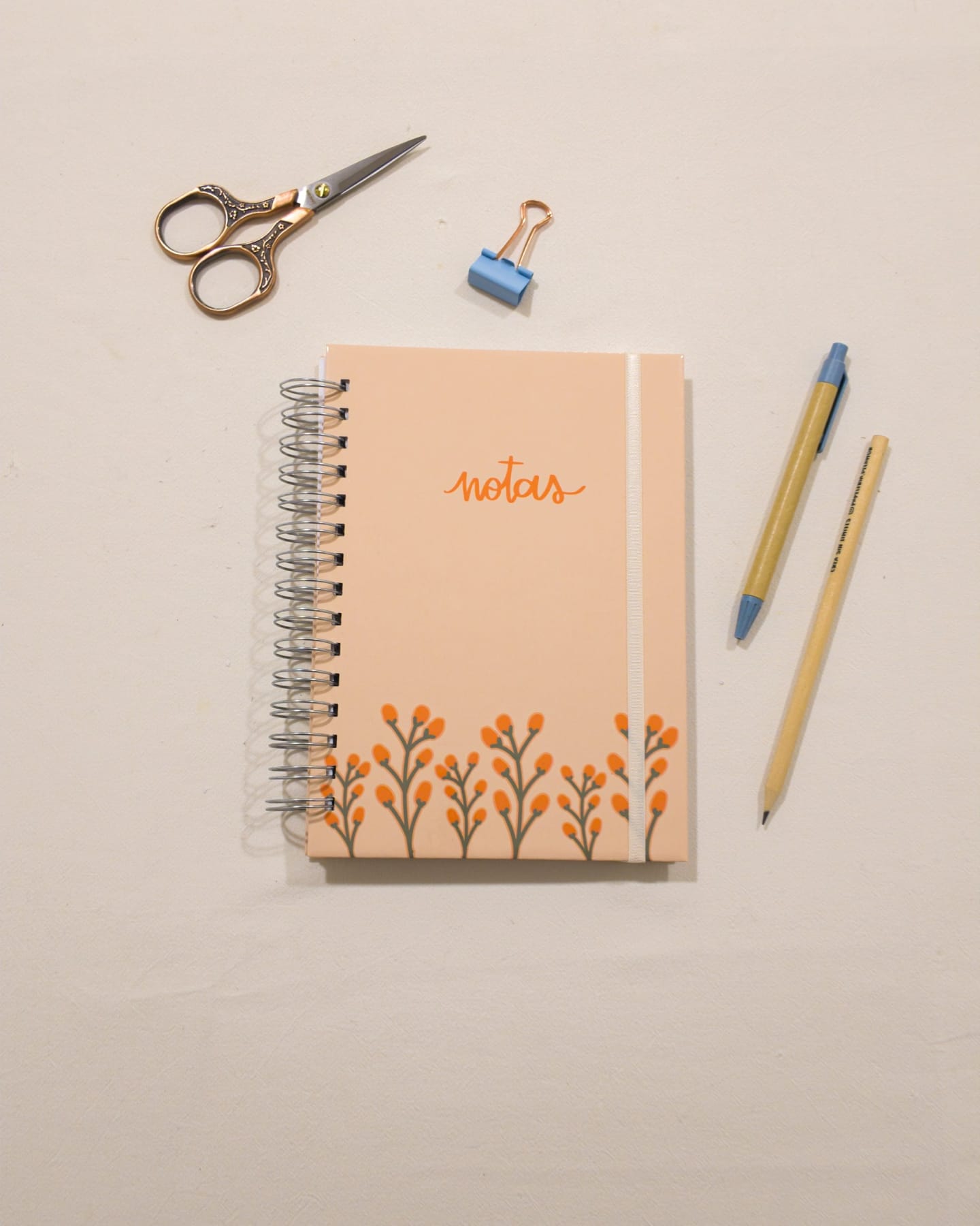 Tapa del cuaderno Pradera (colección Soy mi proyecto) de La Pape, vista desde arriba