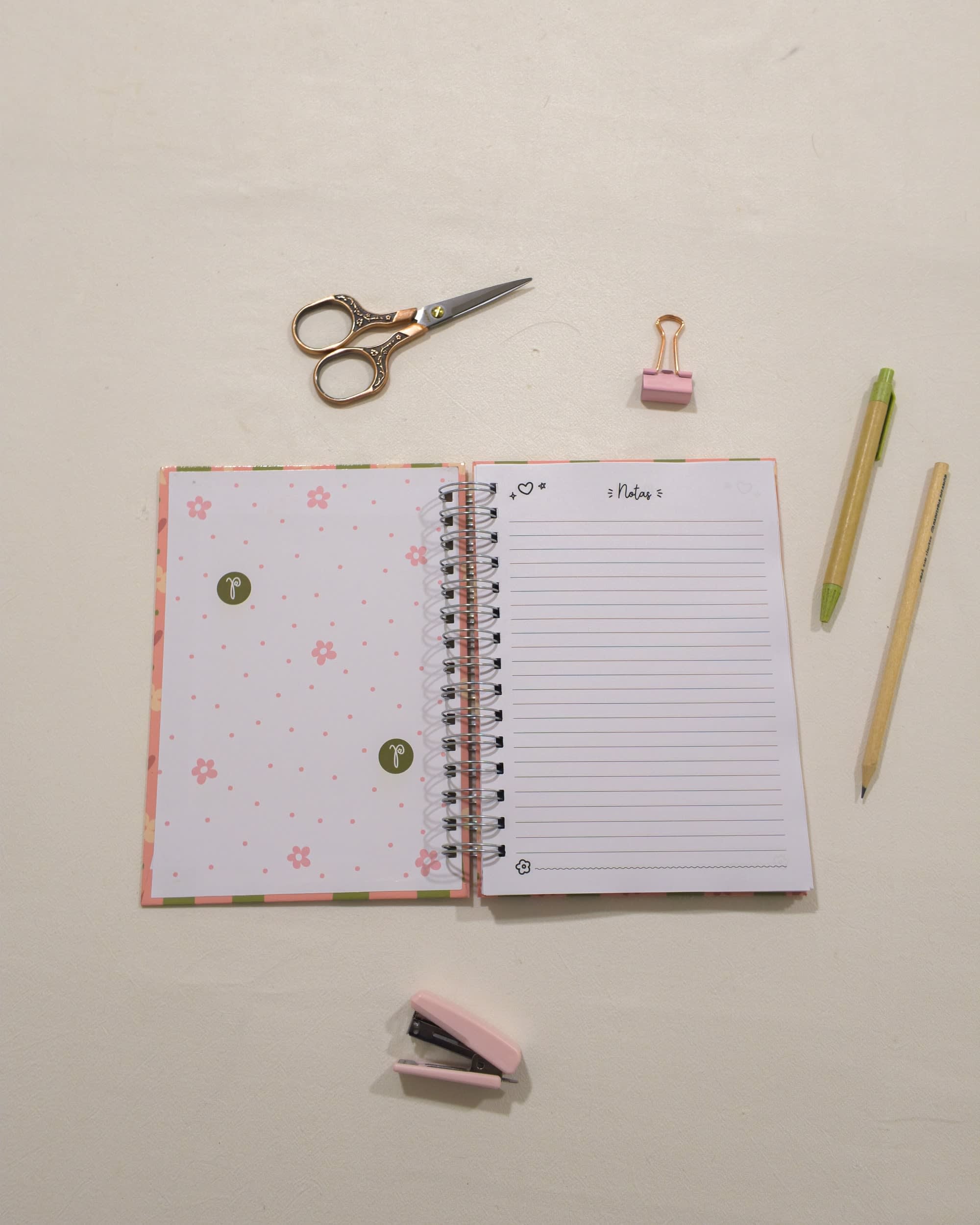 Interior rayado de un cuaderno de La Pape, abierto