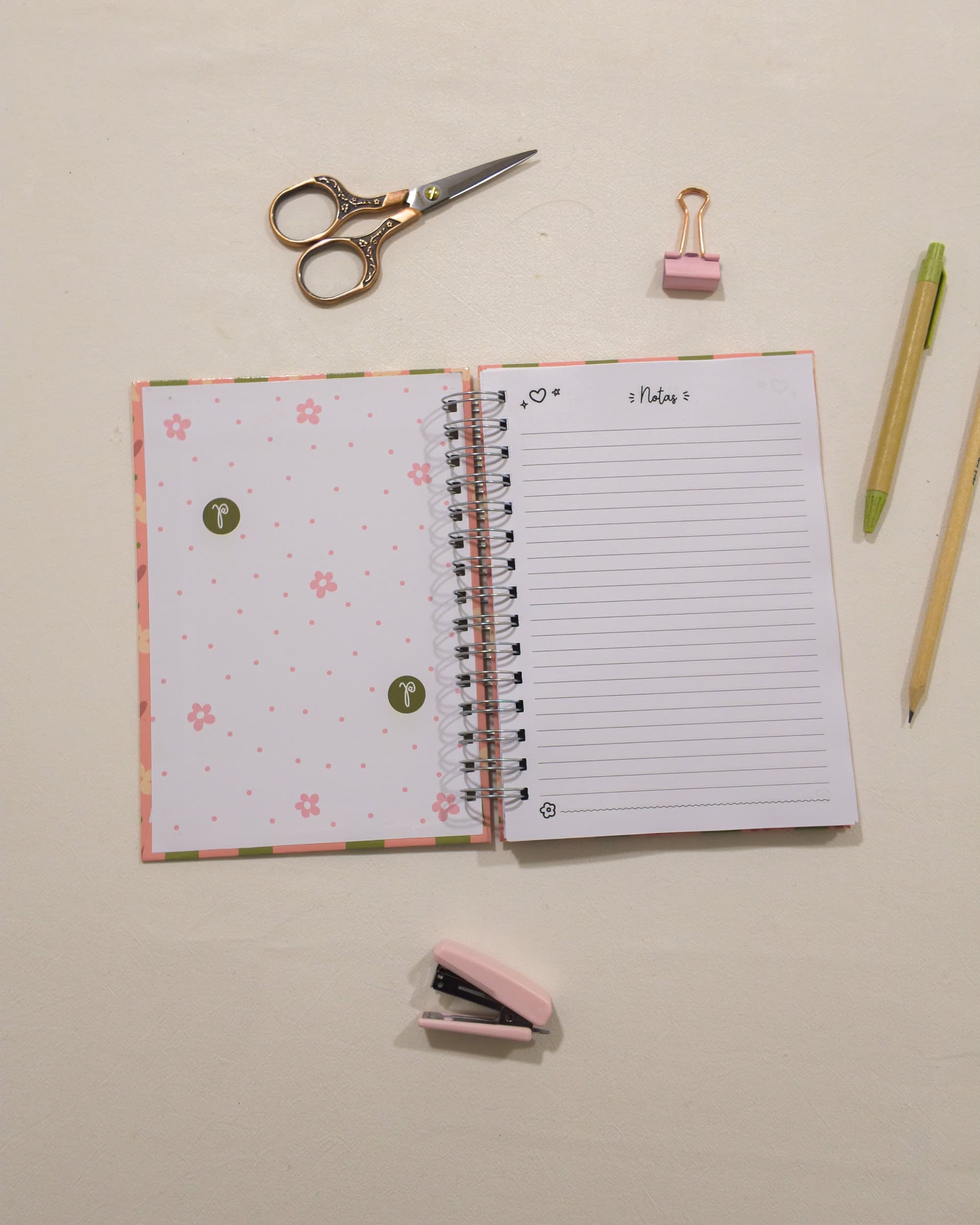 Interior rayado de un cuaderno de La Pape, abierto (otra vista)