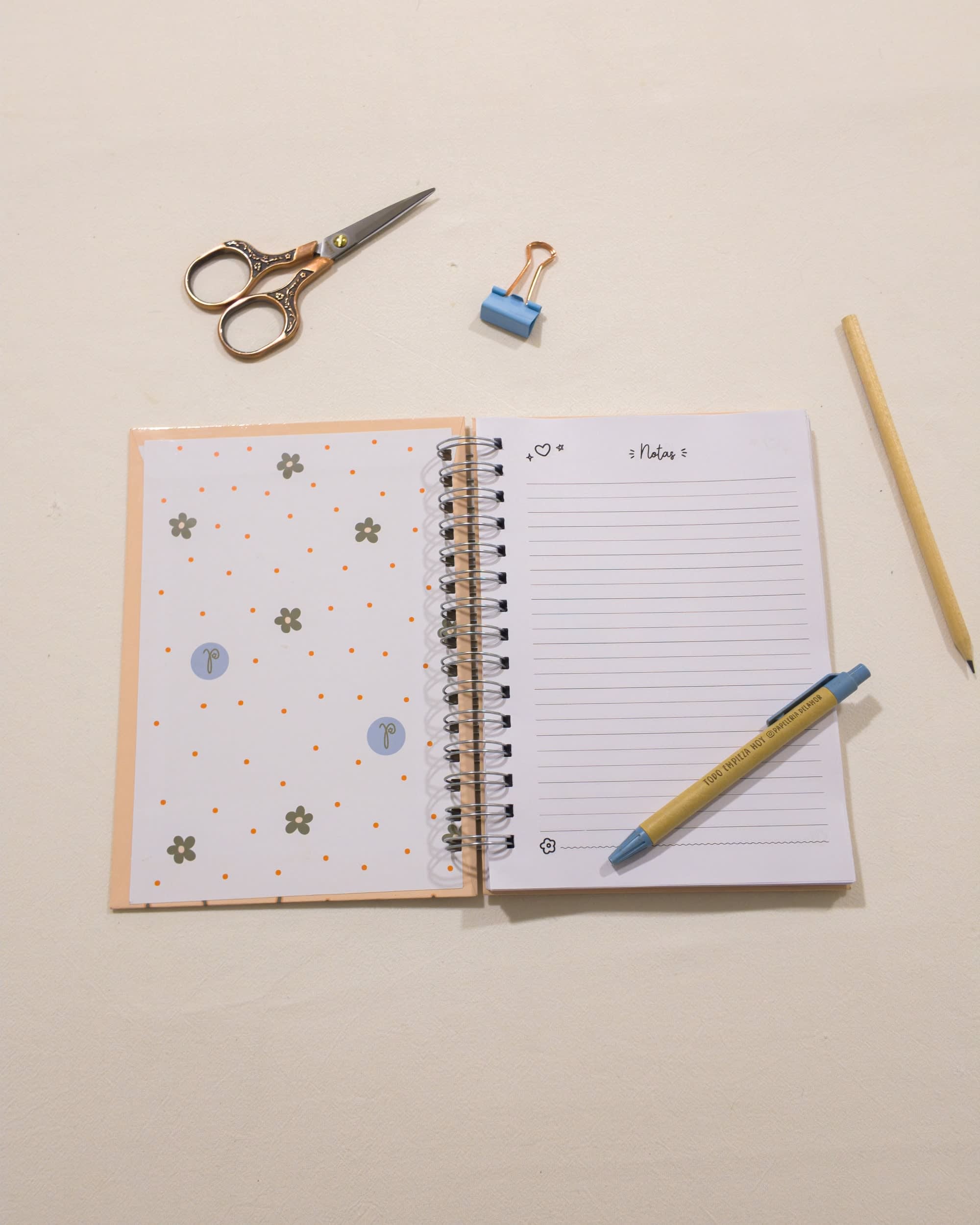Interior rayado de un cuaderno de La Pape, abierto