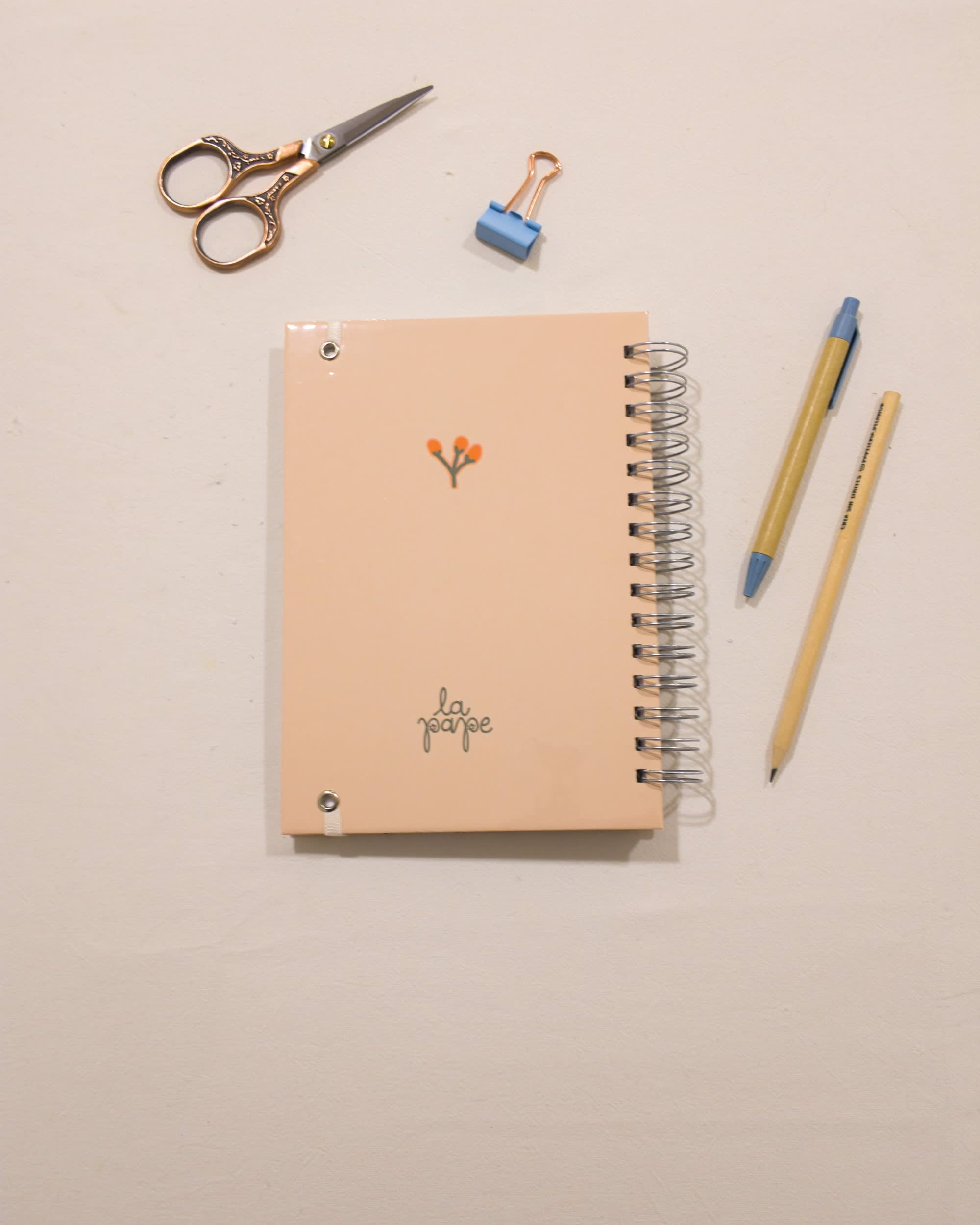 Contratapa del cuaderno Ramita (colección Soy mi proyecto) de La Pape