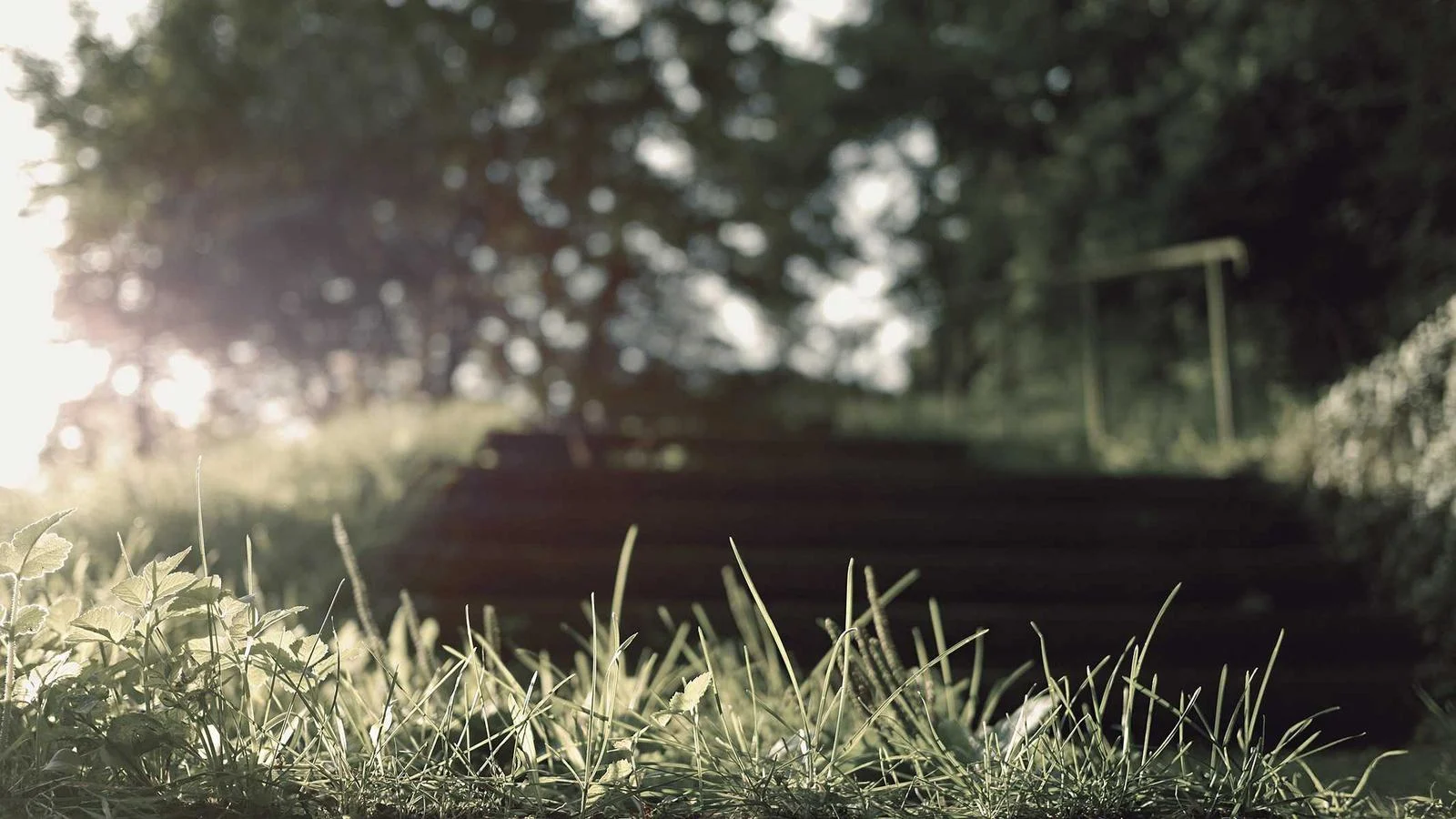 Why I shoot in daylight