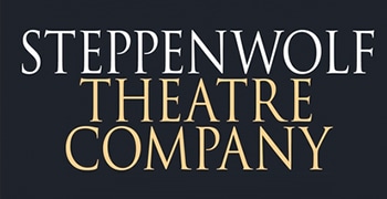 School at Steppenwolf