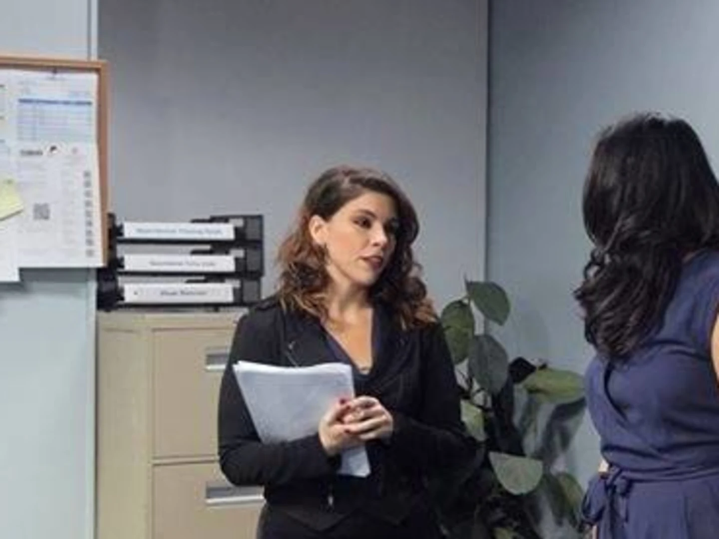 BTS: Alpha Office Manager