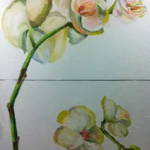 Art by Aga Czech: ORCHID
