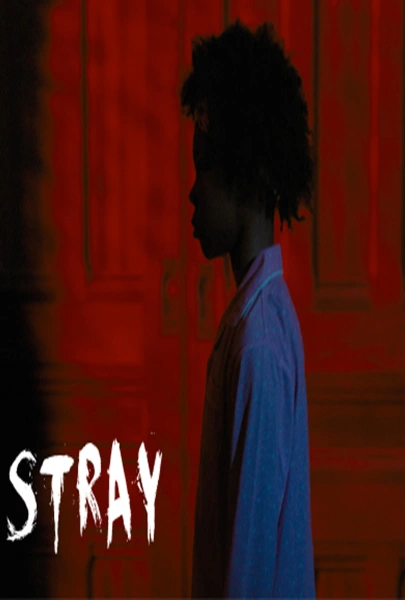 Stray