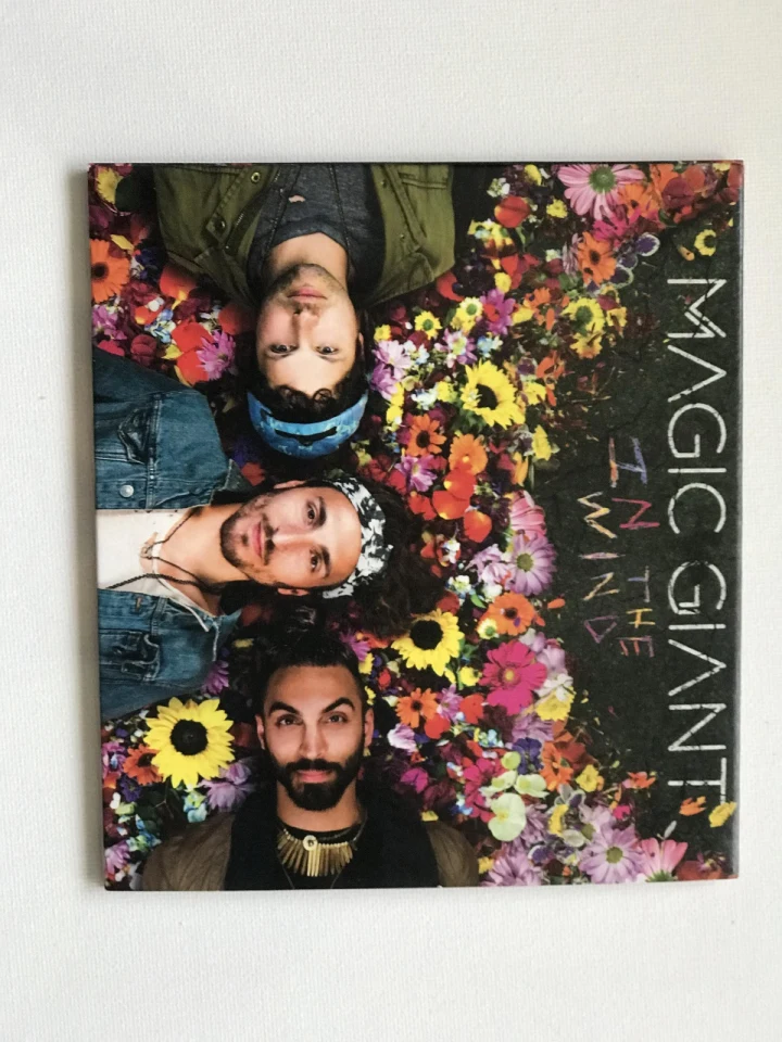 Magic Giant