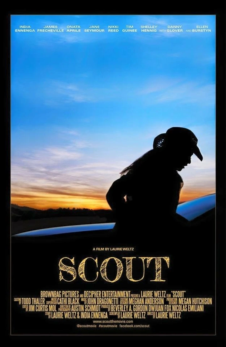 About Scout