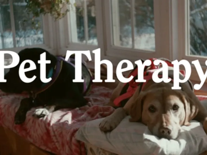 Pet Therapy