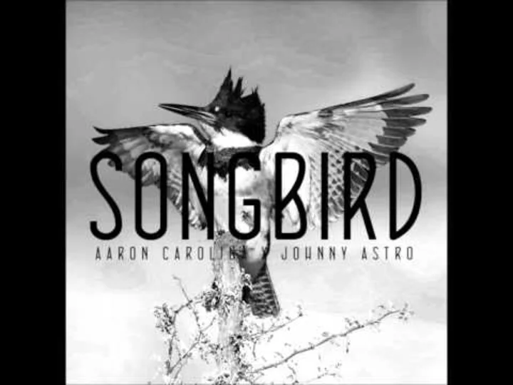  Songbird- Aaron Carolina