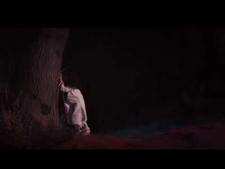 &ldquo;Silent Pandemic&rdquo; Galina Slavova -Farsi clip