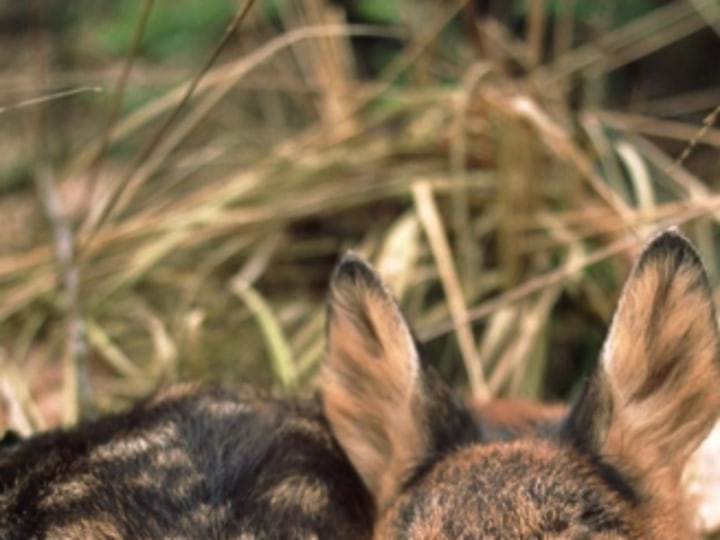 BestPositionofExcellenceBook