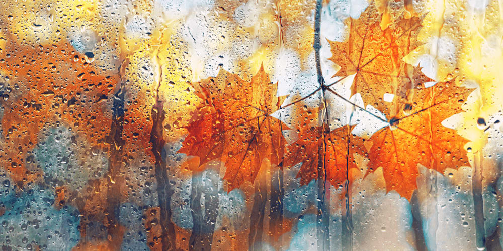 Weather Moments to Be Thankful For